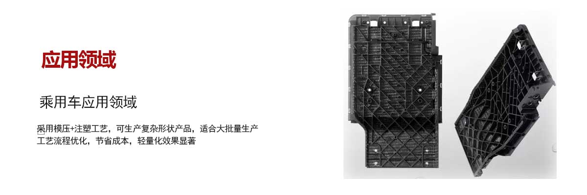 乘用車應用(yòng)領域